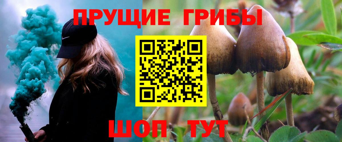 купить  цена  Вход с VPN  Галлюциногенные грибы Magic Shrooms  Кострома  Псилоцибиновые грибы ЛСД 