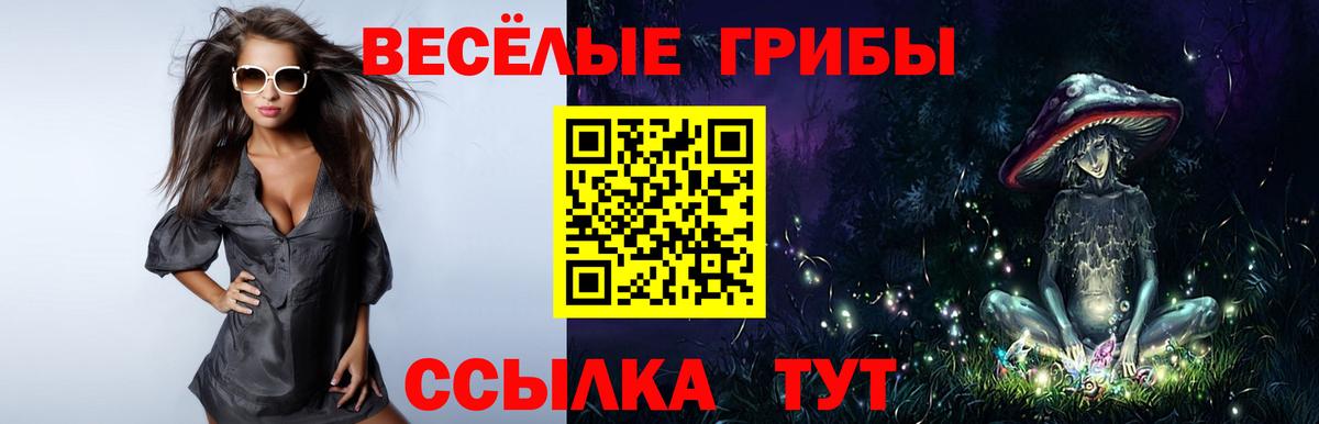 Псилоцибиновые грибы Psilocybe Кострома